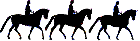 shromážděný klus, stále za kolmicí shromážděný klus, stále za kolmicí