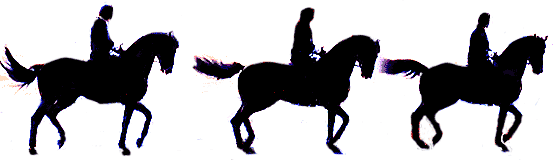 pasáž, stále za kolmicí pasáž, stále za kolmicí