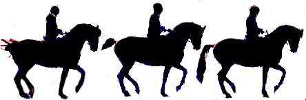 piafa, stále za kolmicí piafa, stále za kolmicí