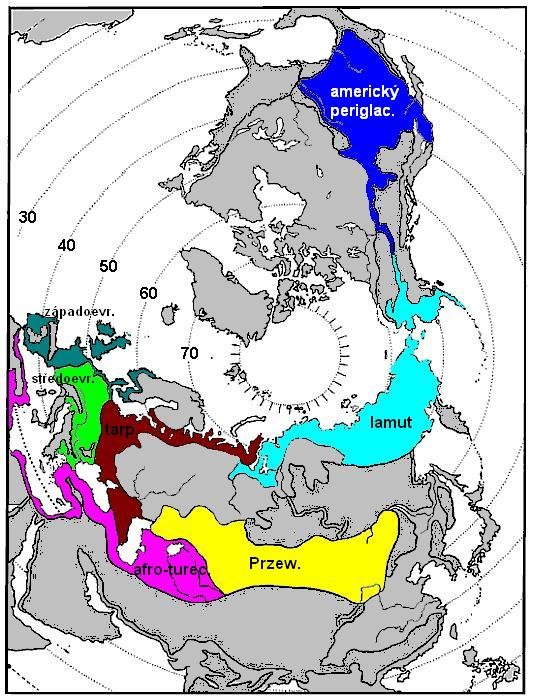 rozšíření koní z doby ledové podle D. Bennett a Hoffmann rozšíření koní z doby ledové podle D. Bennett a Hoffmann