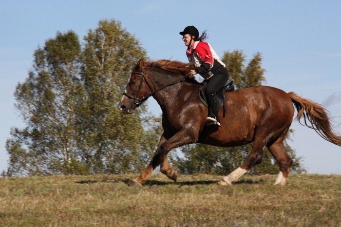 Hubert Bulovka 2012 Hubert Bulovka 2012