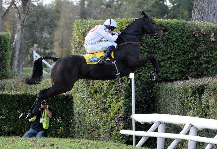 Orphée des Blins Orphée des Blins