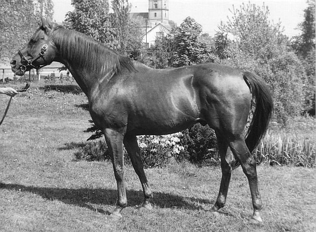 Monseigneur Monseigneur