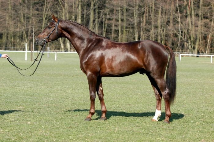 Don Aparte Don Aparte