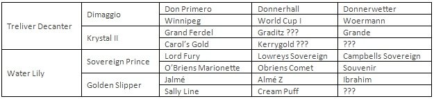 Diamante původ Diamante původ