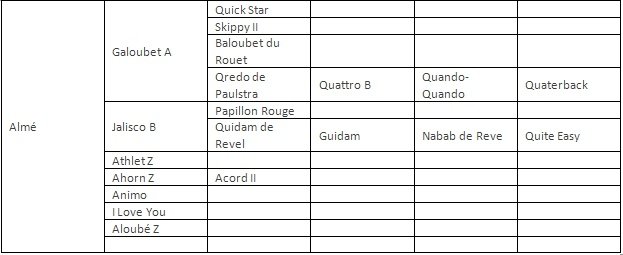 Almé - plemenní hřebci Almé - plemenní hřebci