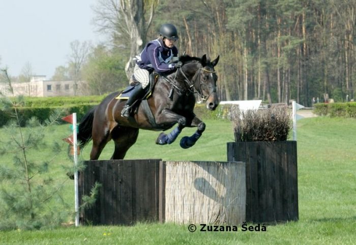 Clementain Clementain