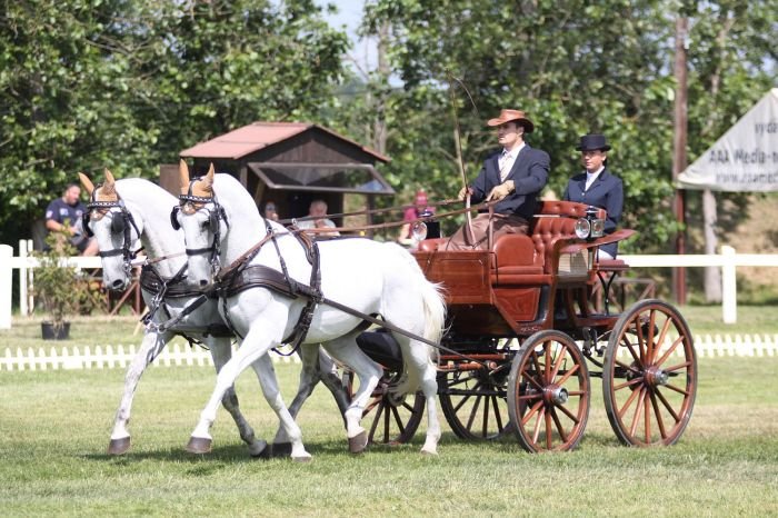 Martin Gössl Martin Gössl