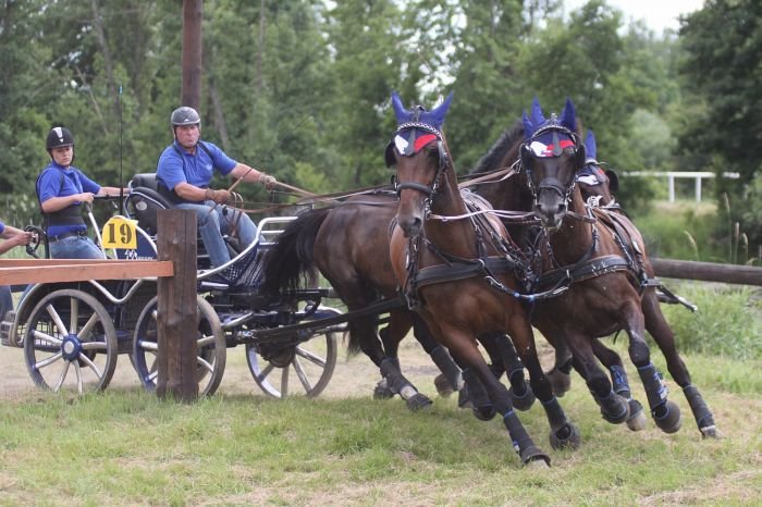 Jiří Nesvačil starší Jiří Nesvačil starší