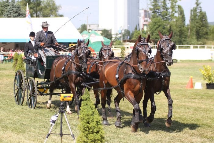 Jiří Nesvačil starší Jiří Nesvačil starší