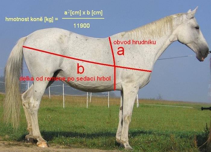 výpočet hmotnosti koně výpočet hmotnosti koně