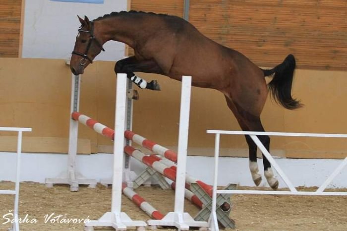 Golden Sun Golden Sun