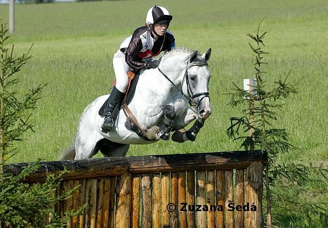 Belfast Vasury Belfast Vasury