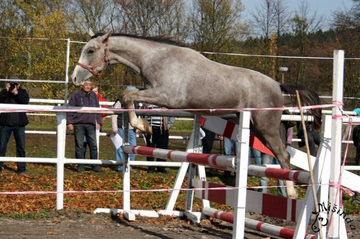 Rubby Moon Rubby Moon