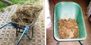 Srovnání Srovnání