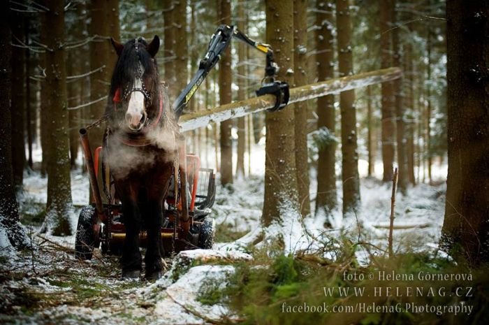 Jurášek a vyvážečka Jurášek a vyvážečka