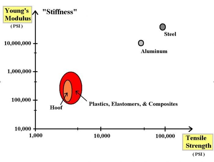 Kopytní biomateriál Kopytní biomateriál