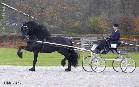 Uldrik 457 Uldrik 457