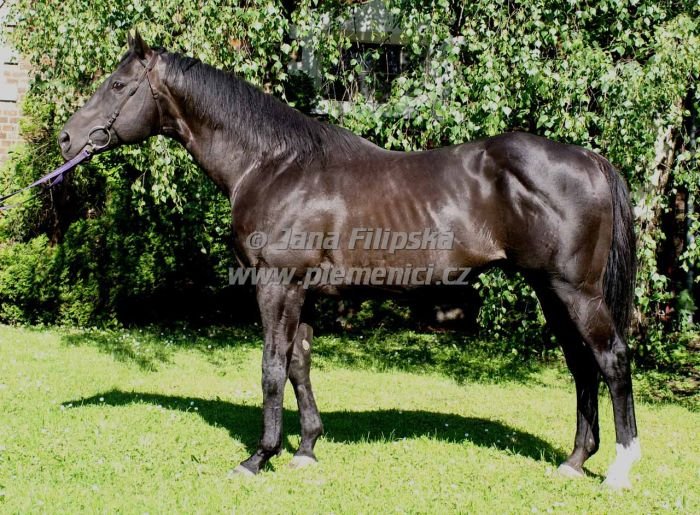 House Rules House Rules