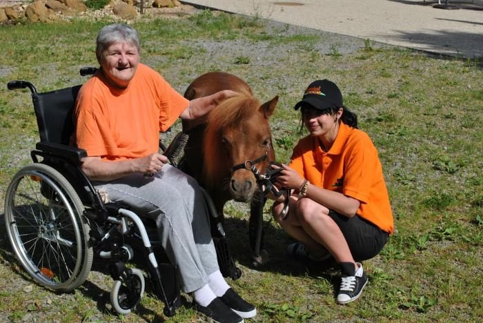 Zvířecí partička