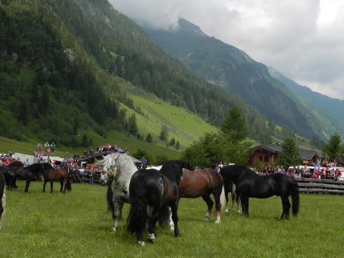 Norici v Raurisu Norici v Raurisu