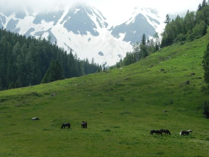 Norici v Raurisu Norici v Raurisu