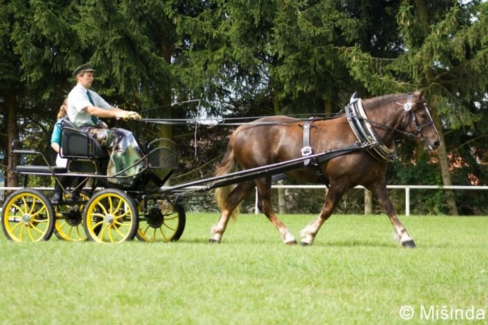 16/862 Aneta 16/862 Aneta