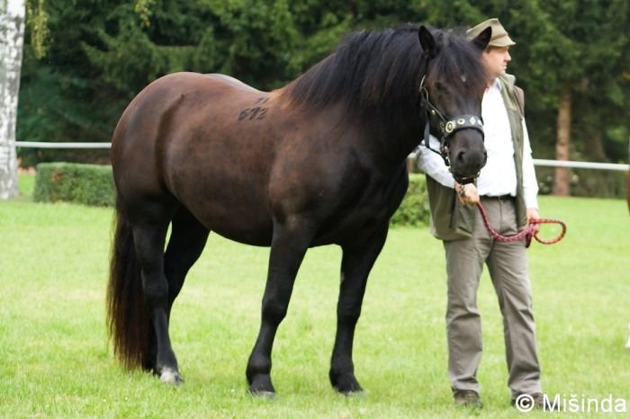 11/672 Monika 11/672 Monika