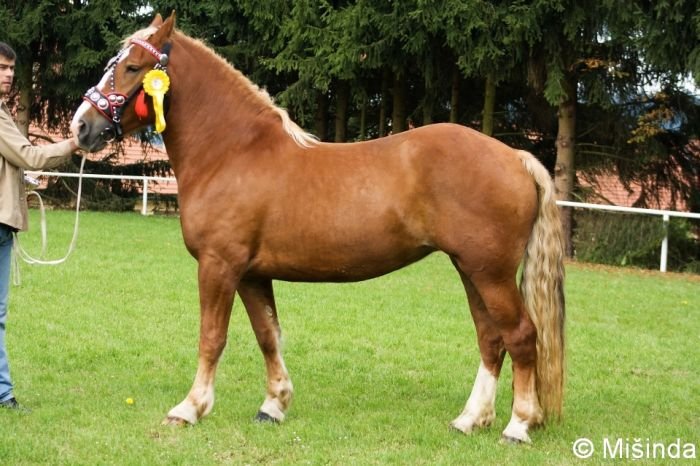 16/857 Alice 16/857 Alice