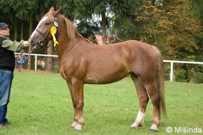 19/723 Renáta 19/723 Renáta