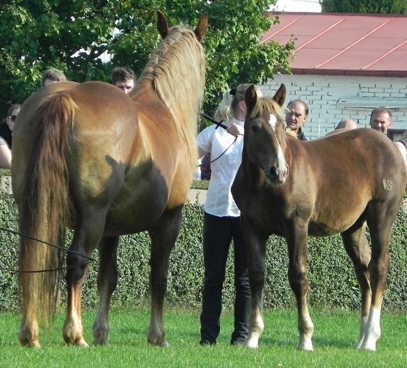 Olga s klisničkou Olga s klisničkou