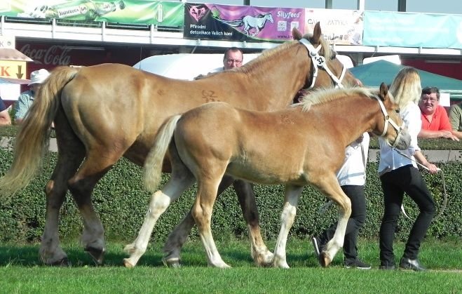 Cilka a Cita Cilka a Cita