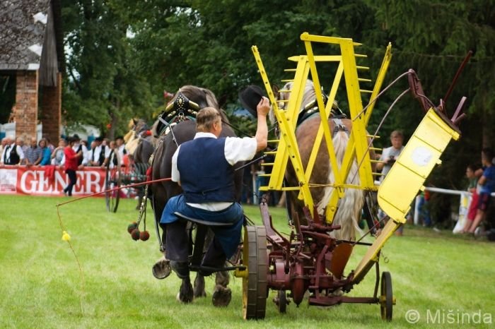 Tlumačovští hřebci Almar a Markon v hrsťovce Tlumačovští hřebci Almar a Markon v hrsťovce