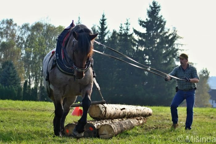 Jiří Knapovský se Samantou-K Jiří Knapovský se Samantou-K