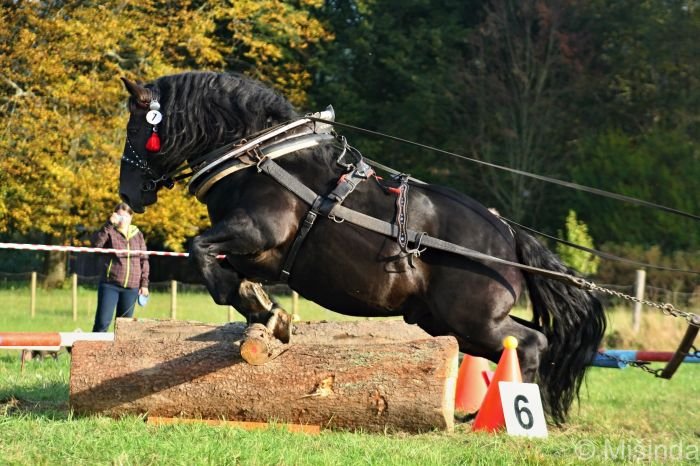 J. Janovský s Inspektorem J. Janovský s Inspektorem