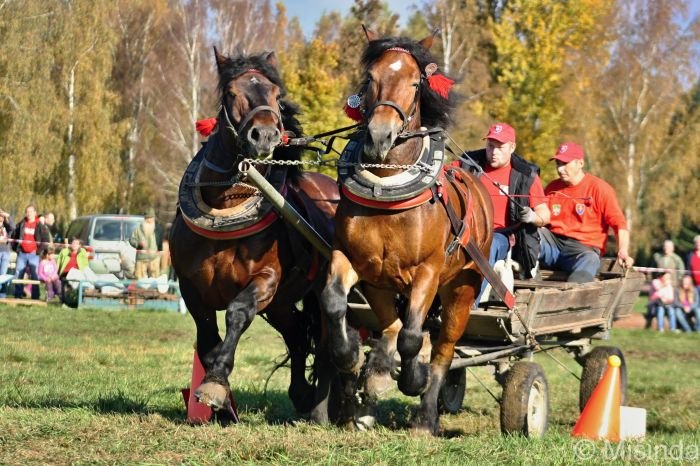 Patrik Játy - Litvor a Maček Patrik Játy - Litvor a Maček