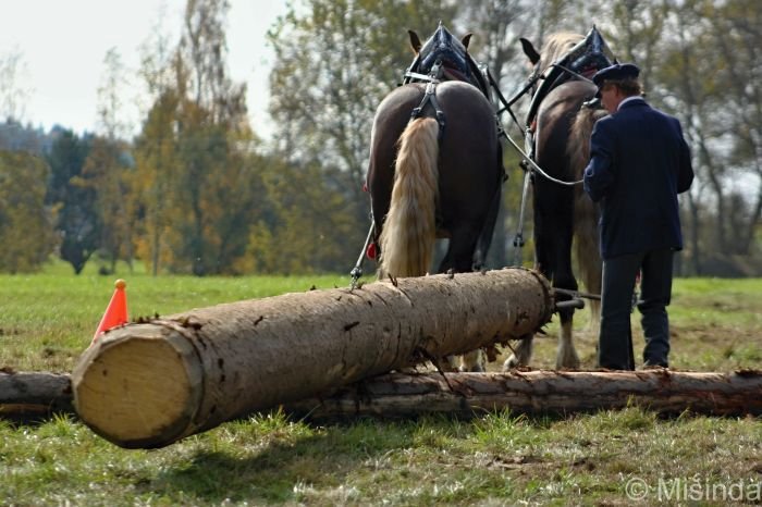 Miroslav Ježek - Maral a Patriot Miroslav Ježek - Maral a Patriot