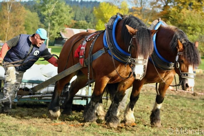 Marian Fízek - Lordo a Buntek Marian Fízek - Lordo a Buntek