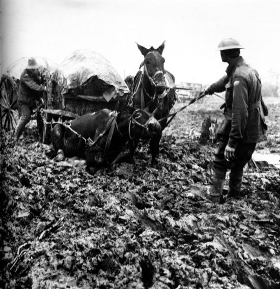 Paschendaele Paschendaele