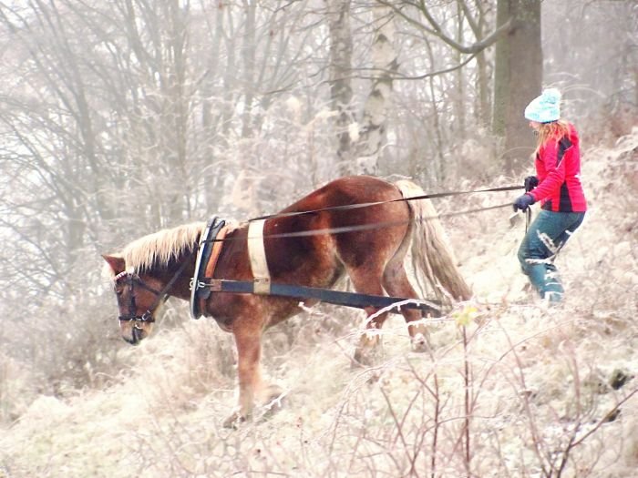 Alena a Vojtěch Alena a Vojtěch