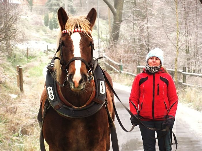 Alena a Vojtěch Alena a Vojtěch