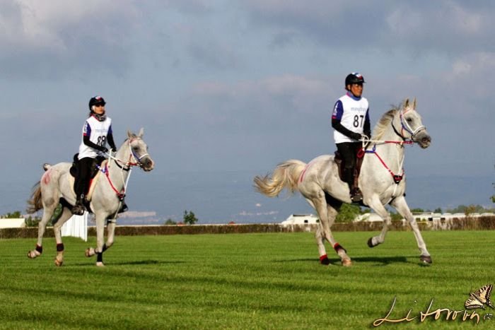 ME Most 2013, Prince Ali (THA)