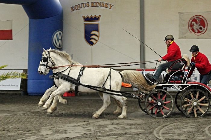 Petr Vlašic Petr Vlašic