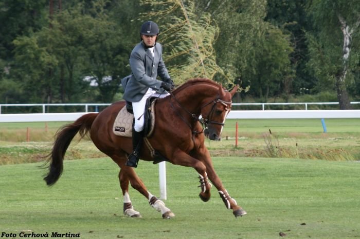 Federweisser Federweisser