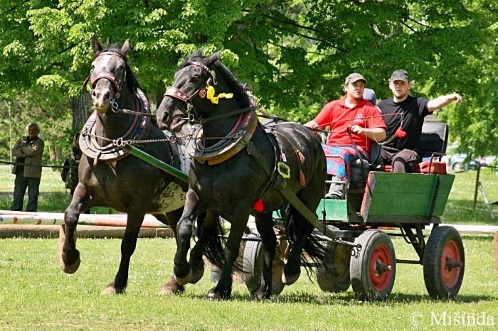 Pavel Hubený s klisnami Vanda a Vanesa Pavel Hubený s klisnami Vanda a Vanesa
