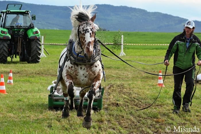 P. Procházka st. a Narex P. Procházka st. a Narex