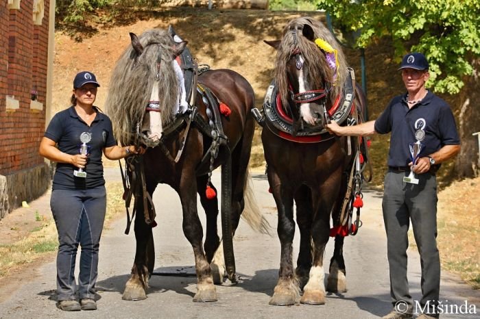 Vokatá + Maral, Ježek + Almar Vokatá + Maral, Ježek + Almar