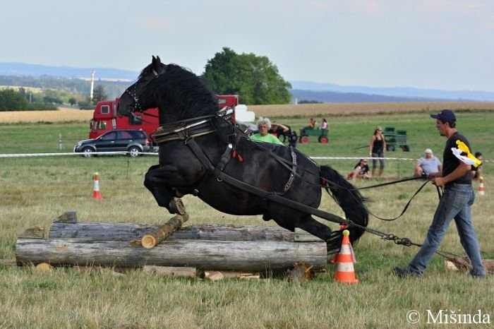 Honza Janovský a Inspektor Honza Janovský a Inspektor