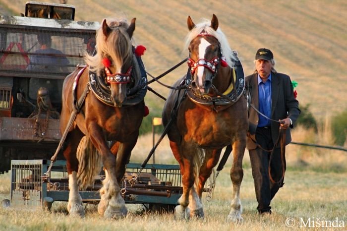R. Žák a Bag, Jalta R. Žák a Bag, Jalta