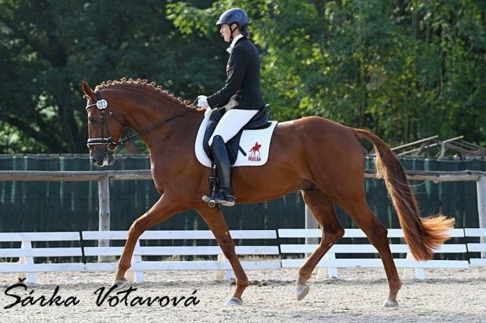 Santos Dumont Santos Dumont